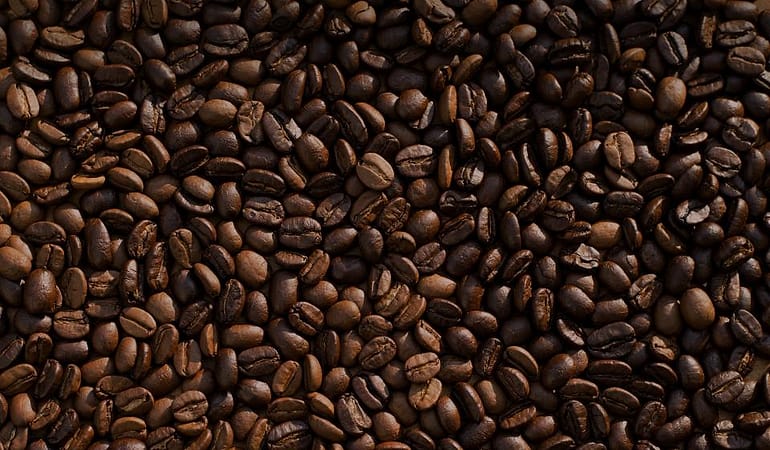 Dokumentasi proyek Kopi Nusantara