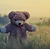 Boneka Beruang Preloved