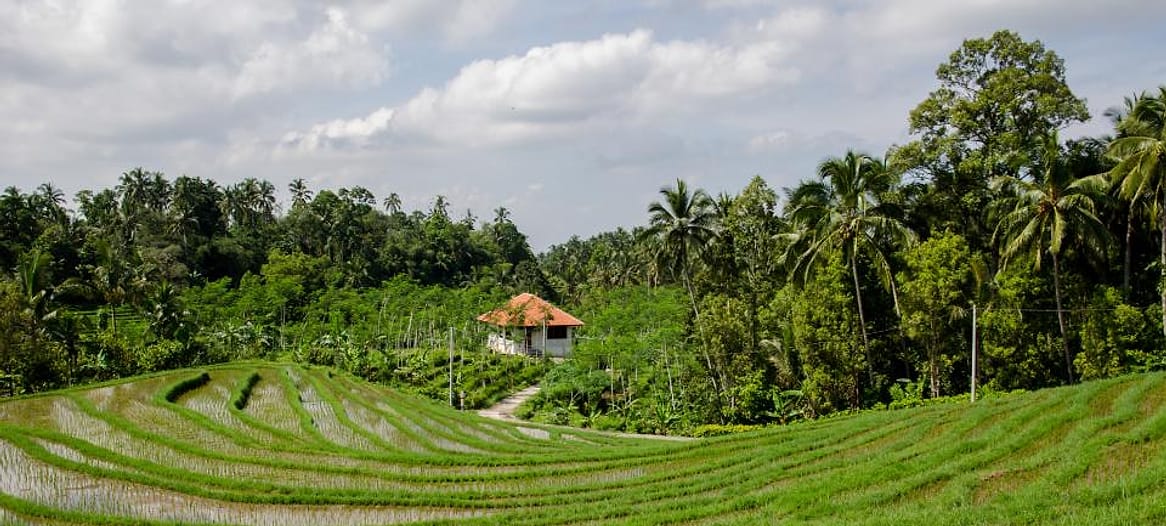 Tanam Pohon di Desa Binaan