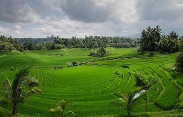 Desa binaan