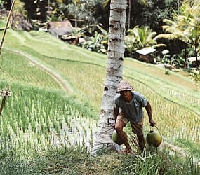 Petani desa binaan