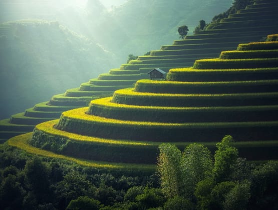 Sawah berundak di desa dampingan