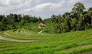 Foto program donasi