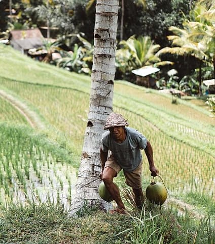 Foto kegiatan