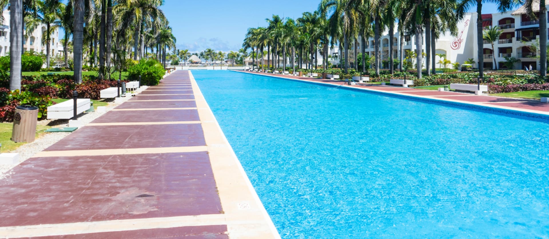 Kolam renang resort dengan pohon palem