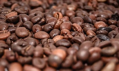 Biji kopi sangrai