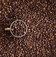 Biji kopi Arabika Gayo