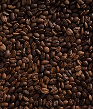 Biji kopi Gayo sangrai