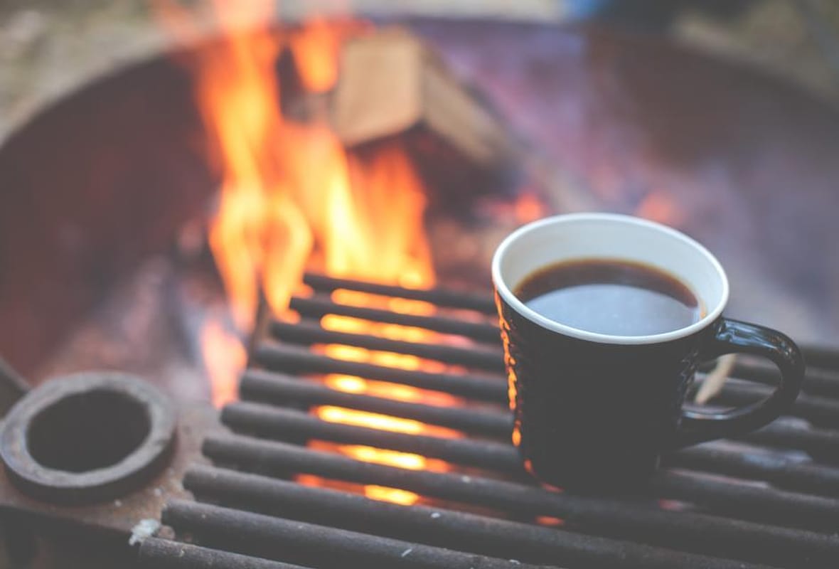 Mengenal Kopi Gayo dan Toraja