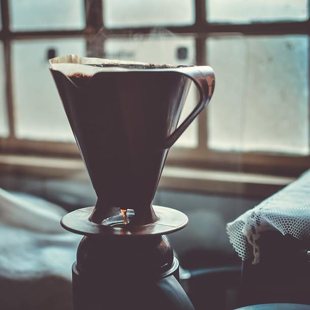 Coffee Seeds