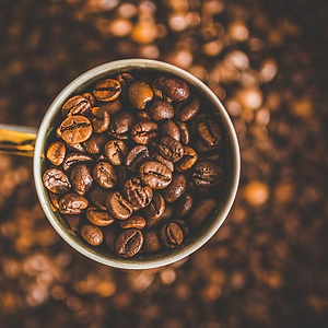 Kopi Arabika Gayo