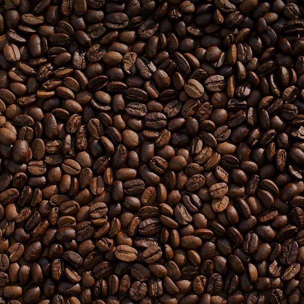 Couple Barista Coffee Shop