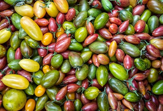 Tomat ceri warna-warni hasil kebun