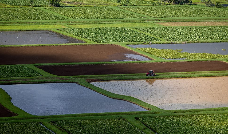Petak sawah dan kebun sayur dari ketinggian