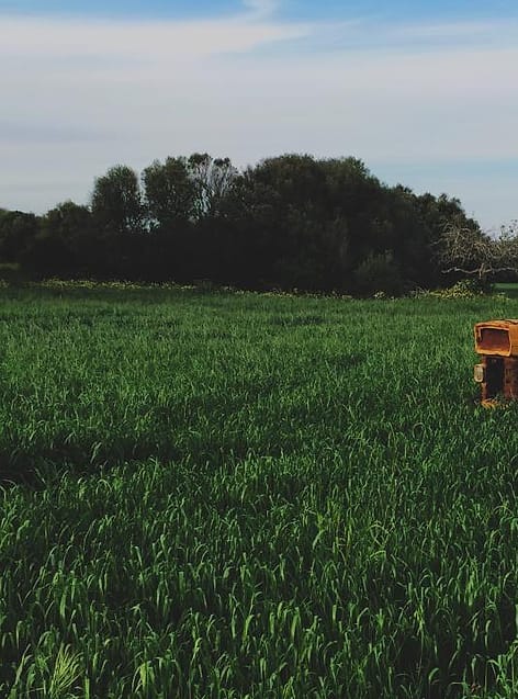 Ladang hijau dengan traktor