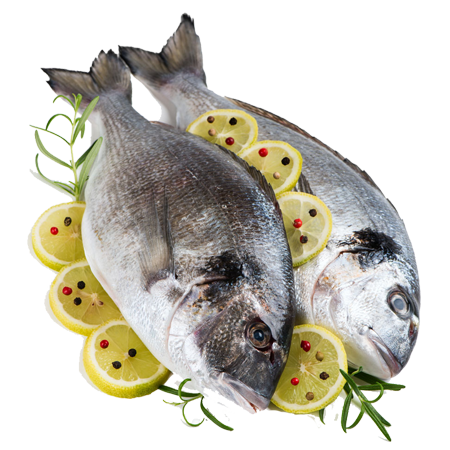 Ikan Segar