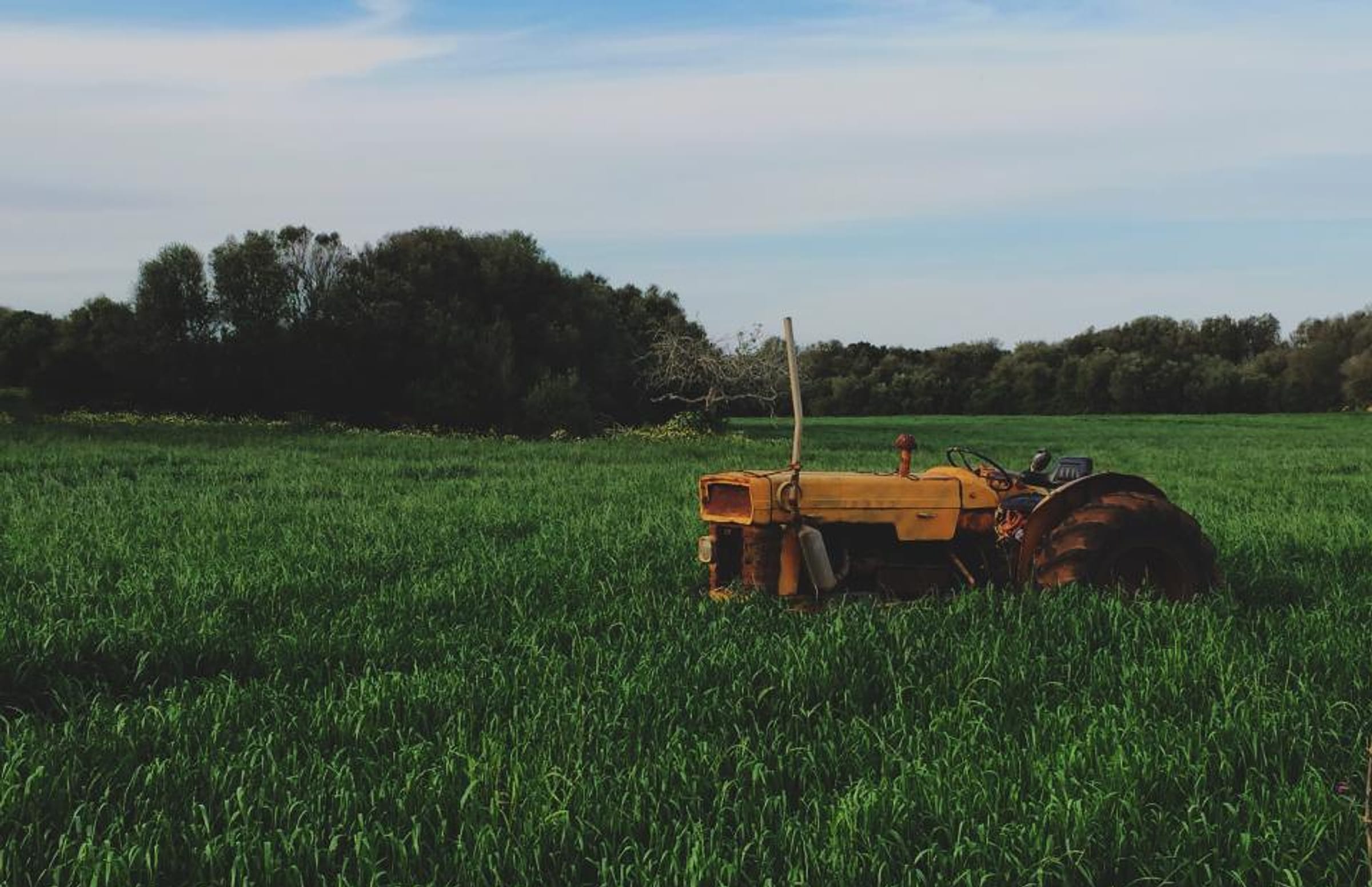 Traktor di lahan pertanian hijau