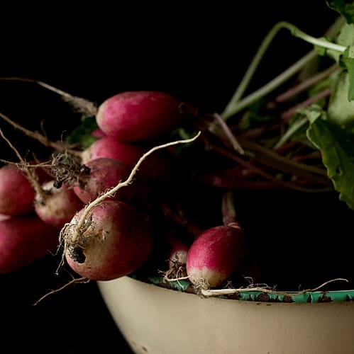 Foto kebun MDIX Pertanian Harmoni