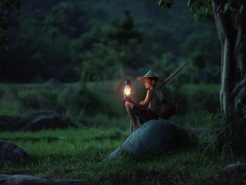 Foto kebun MDIX Pertanian Harmoni