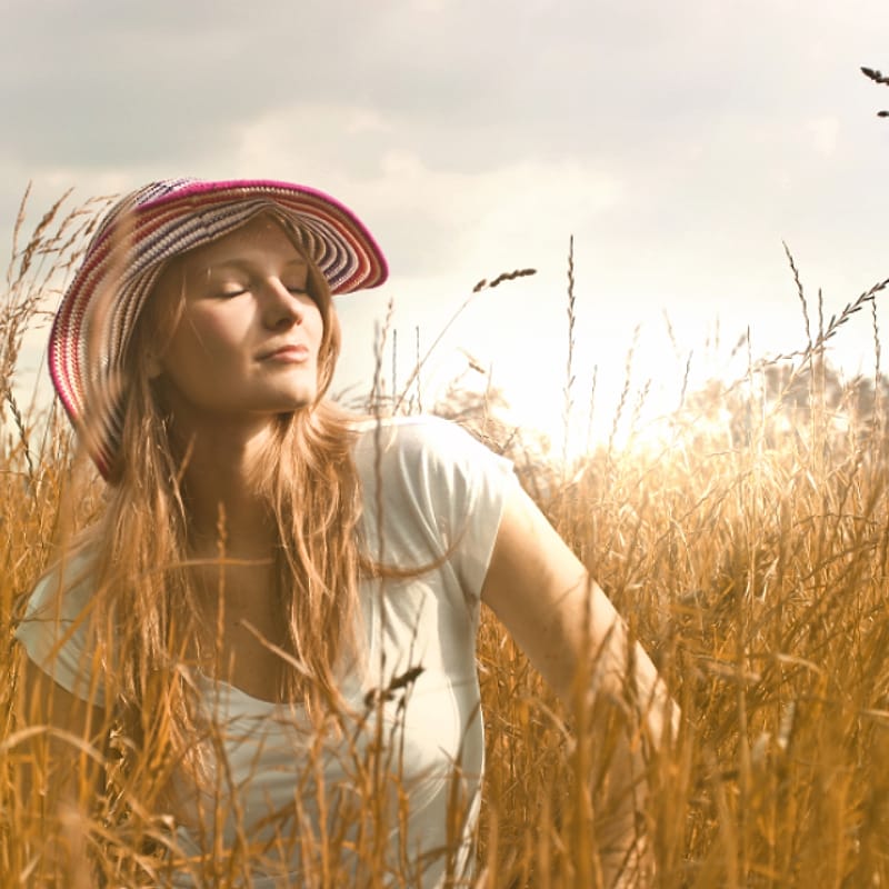 Foto kebun MDIX Pertanian Harmoni