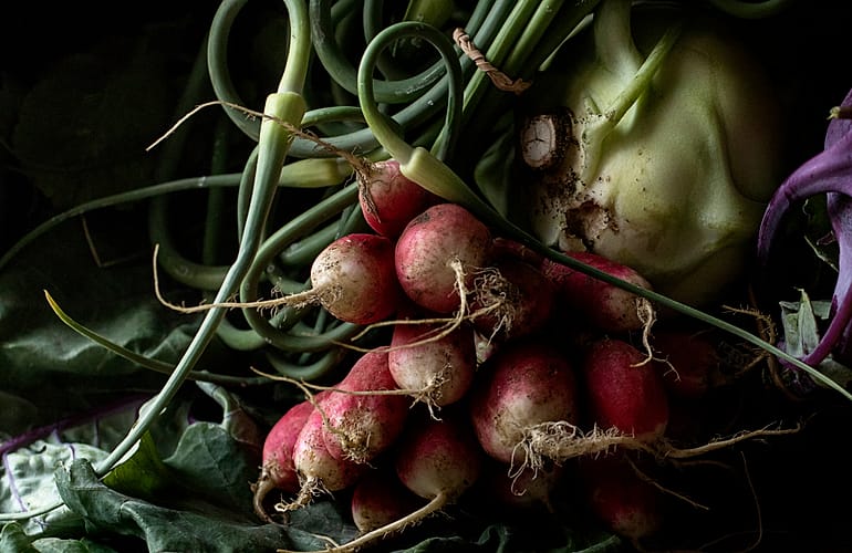 Foto kebun MDIX Pertanian Cakrawala