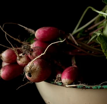 Foto kebun MDIX Pertanian Cakrawala