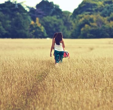 Foto kebun MDIX Pertanian Cakrawala