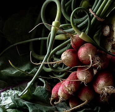 Foto kebun MDIX Pertanian Cakrawala