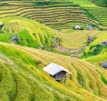 Foto kebun MDIX Pertanian Cakrawala