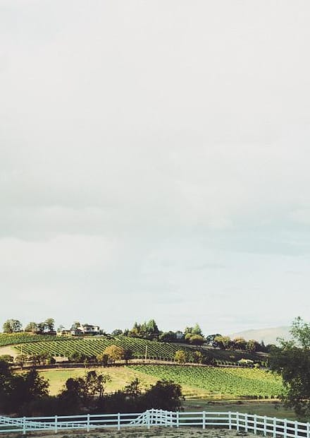 Foto kebun MDIX Pertanian Cakrawala