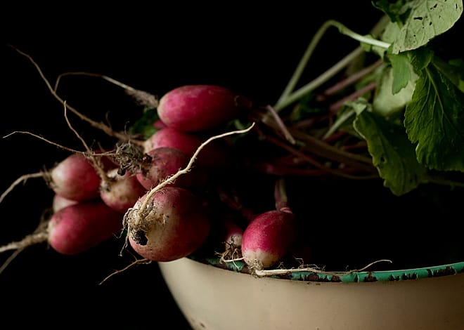 Foto kebun MDIX Pertanian Cakrawala