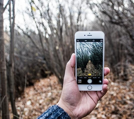 Memotret hutan dengan ponsel