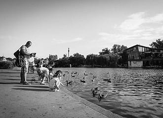 Anak memberi makan bebek di danau