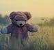 Boneka beruang