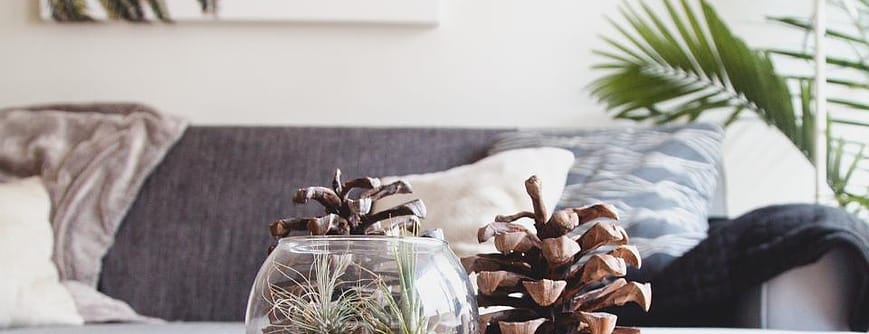 Merawat Furnitur Kayu agar Awet Bertahun-tahun