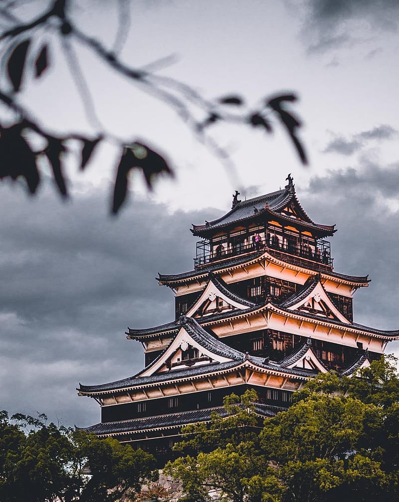 Blog
