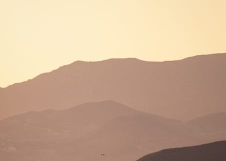 Image Listing