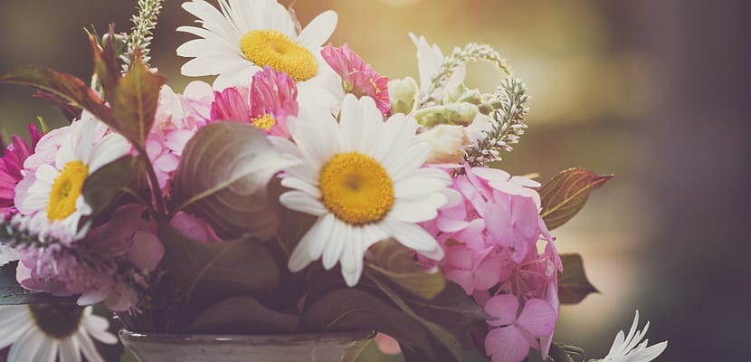 blog_img
