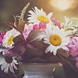 comment_img